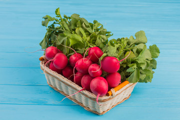Reddish in a basket. Fresh garden radish in a wicker basket.