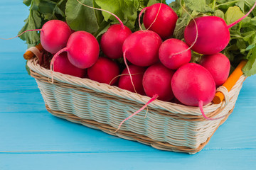 Pile of reddish in wicked basket. Blue wood background.