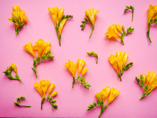 Floral pattern of yellow flowers, on a pink background, pattern flowers