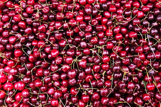 Ripe cherry with stems and leaves. Ripe cherries background.
