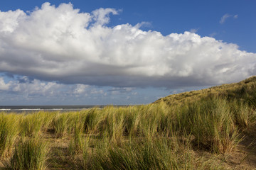 Obraz premium Dünen auf der Insel Texel