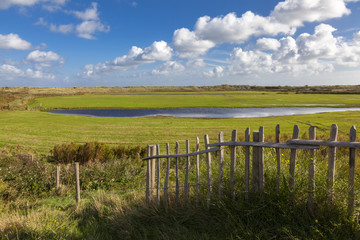 Fototapeta premium Landschaft auf Texel