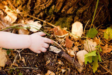Little baby's hand