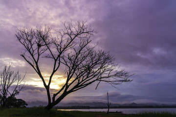 Beautiful landscape image with dead trees silhouette at sunset