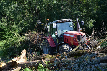 Holzernte © photo 5000