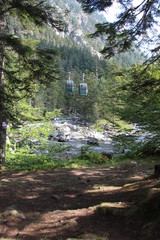 Téléphérique en été dans la forêt montagne