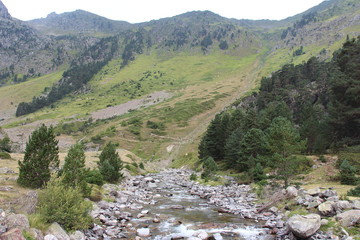Dans la vallée paysage de montagne avec rivière et forêt Cauterets Pyrénées France mode paysage