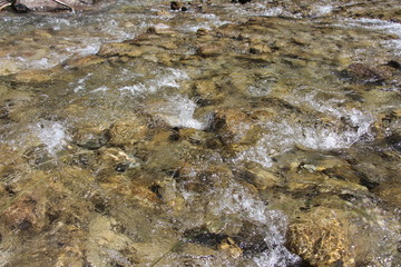 Clapotis de rivière transparente et cailloux