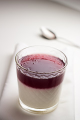 Italian dessert pannacotta on white serviette