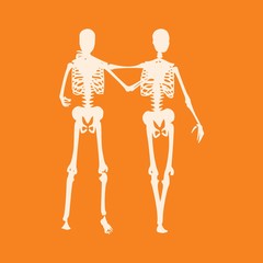 Human skeleton standing and hugging. Halloween party design template. Friends embrace