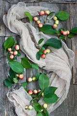 Autumnal apples, harvest