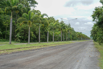 Old road in the countryside with trees along the way.
