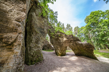 Scenic view to the picturesque sandstone caves Liela Ellite eroded by water in sunny autumn morning with fallen leaves on the ground in Liepas parish, Priekulu district, Vidzeme region, Latvia