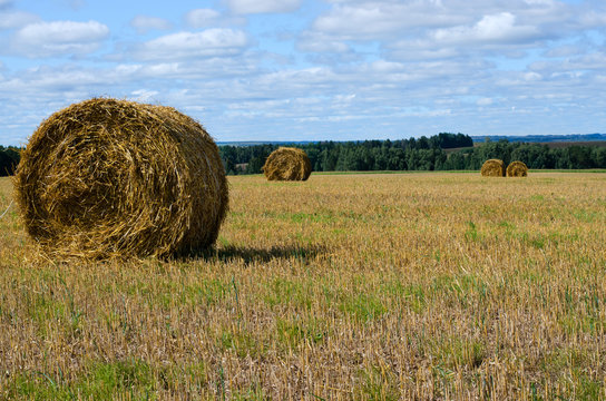 Hay bale. Rural landscape with blue sky. Harvesting straw in the meadow