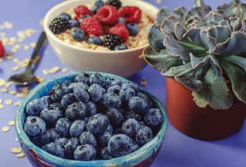 Healthy breakfast. White plate with oatmeal strewn and different berries on a blue background.
