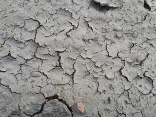 Cracked Dirt