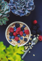 Obraz na płótnie Canvas Healthy breakfast. White plate with oatmeal strewn and different berries on a blue background.