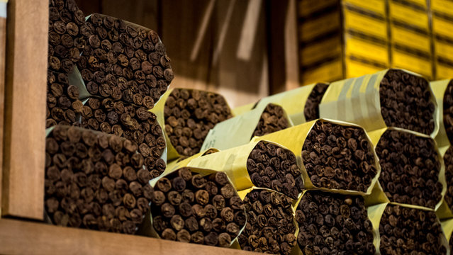 Zigarren Pakete im Humidor einer Zigarrenfabrik