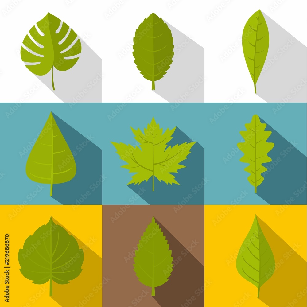 Poster Tree leaves icon set. Flat style set of 9 tree leaves vector icons for web design