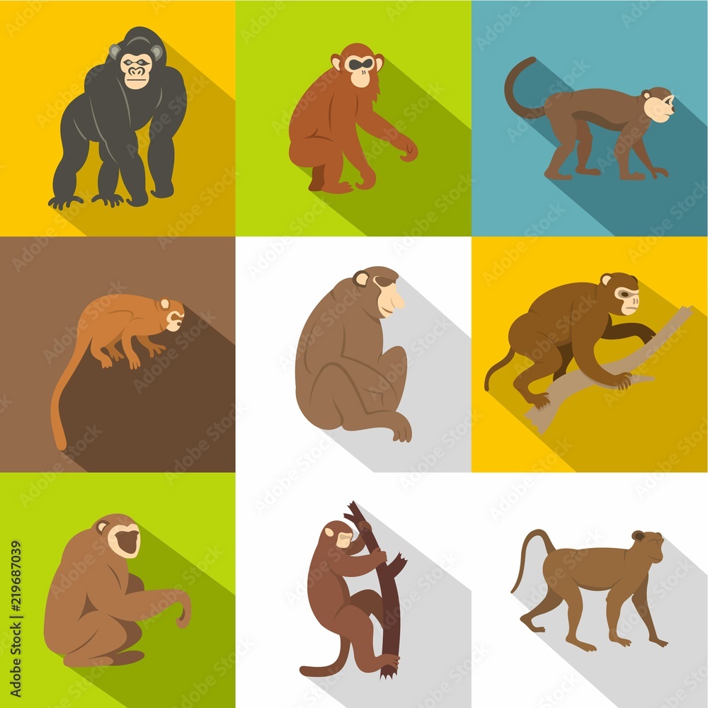 Poster jungle monkey icon set. flat style set of 9 jungle monkey vector icons for web design
