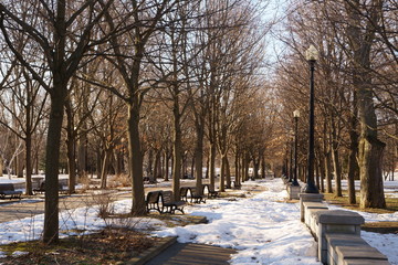 Snow is melting after the first autumnal snowfall.