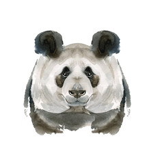 Watercolor hand drawing portrait of a Panda. Cute attractive face bear decoration forest vector illustration.