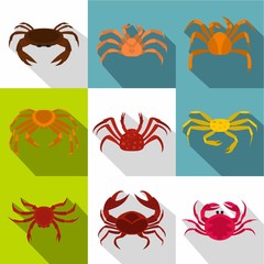 Various crab icon set. Flat style set of 9 various crab vector icons for web design