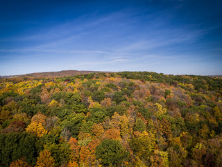 Aerial view over forest of vibrant autumn colors