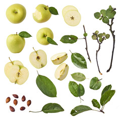 Green apple whole pieces and leaves set isolated on white background