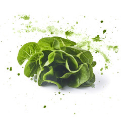 Fresh green lettuce leaves with watercolor green splash, isolated on white background