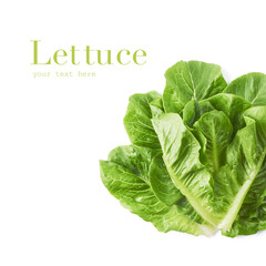 Fresh green lettuce leaves isolated on white