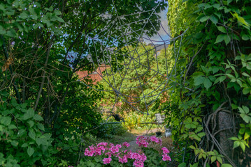 A toy spider and web in a garden in the island of Suomenlinna in Finaland - 2