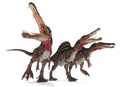 спинозавры