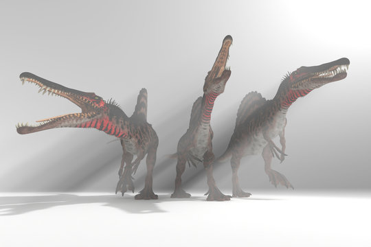 спинозавры в тумане