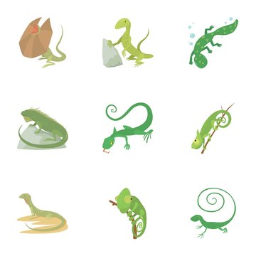 Lizard icons set. Cartoon set of 9 lizard vector icons for web isolated on white background