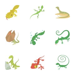 Reptile icons set. Cartoon set of 9 reptile vector icons for web isolated on white background