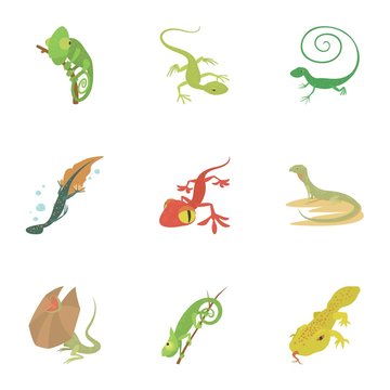 Small lizard icons set. Cartoon set of 9 small lizard vector icons for web isolated on white background
