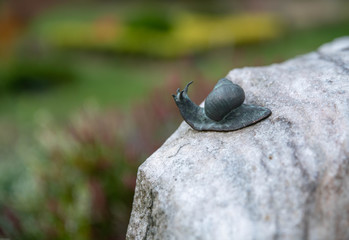 Schnecke auf einem Grabstein  © Blende8