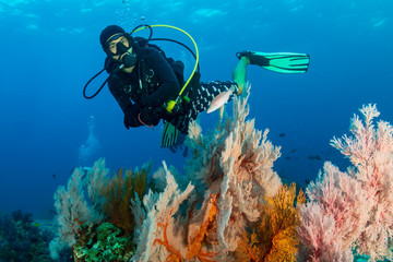 A male SCUBA diver exploring a deep tropical coral reef