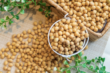 Soy bean in white bucket and brown box on sackcloth. Clean healthy food for eat well. Selective focus image.