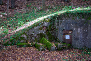 Bunker im Wald