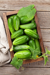 Fresh garden cucumbers