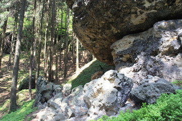 Gestein