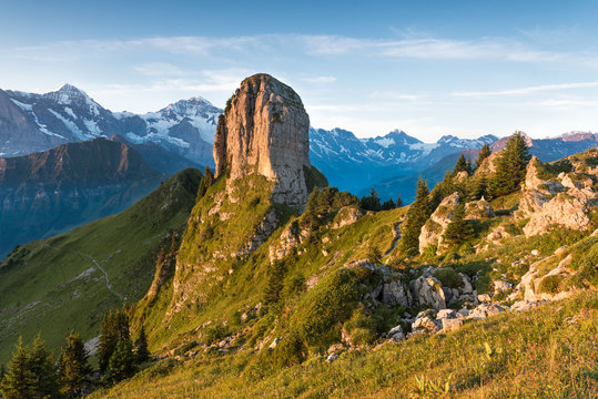 Daube - Schynige Platte