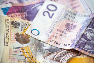 polish money background