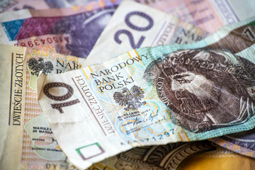 polish money background