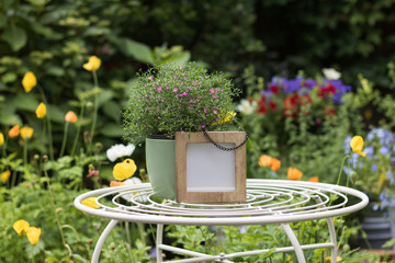 Small wooden frame for your great words is on an elegant garden table next to a flower in a green pot. Background: a beautiful flowering garden.