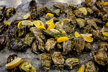 Oysters with lemon on ice