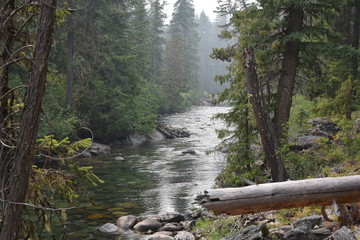 River along trail