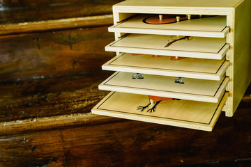 Cabinet for boards to learn body parts of animals.